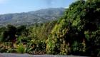 Greener Haiti - Mountain Top View from Pernier