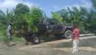Carwash in Haiti - All Cars Welcome