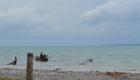 Fishermen fishing at Gelee Beach - Les Cayes Haiti