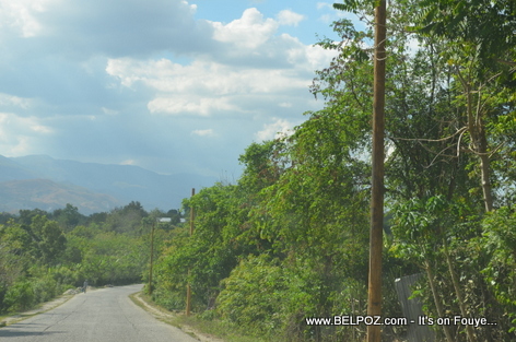 Haiti - Newly installed Wood Light Pole along the road