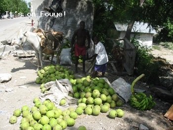 Breadfruits For Sale In Haiti