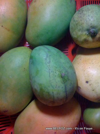 Haitian Mangoes