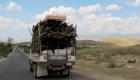 Truck Load Of Bamboo Gonaives Haiti
