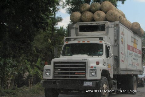 Camion Transport Panier Mango Gonaives Haiti