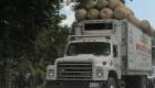 Camion Transport Panier Mango Gonaives Haiti