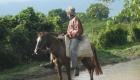 Man On A Mule - Crossing The River - Trou Du Nord Haiti